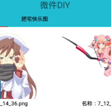 ΢��DIY