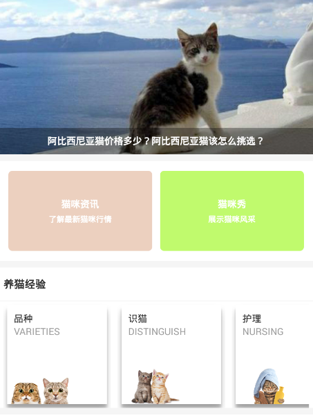 爱猫咪 爱猫咪