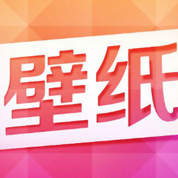 ���������ֽapp