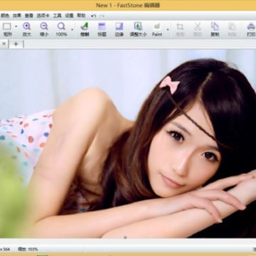 faststone capture 注册码 faststone capture 注册码