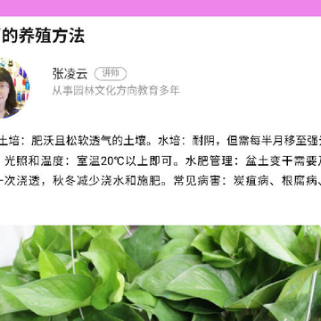 黄金农场软件 黄金农场软件