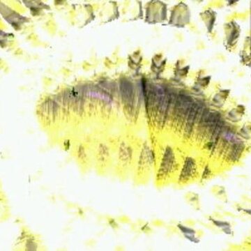 梦幻金庸群侠传5.3十二周年庆版 梦幻金庸群侠传5.3十二周年庆版