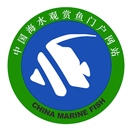 ������appv1.0.5 ���°�