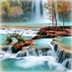 �ɾ��ٲ���̬��ֽv1.8.4 ��׿��