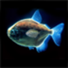 3Dˮ���㶯̬��ֽ-Piranha 3d aquarium LWPv1.0.9 ��׿��