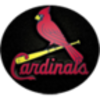 St Louis Cardinalsʥ·�׺�ȸ��ֽv1.0 ��׿��