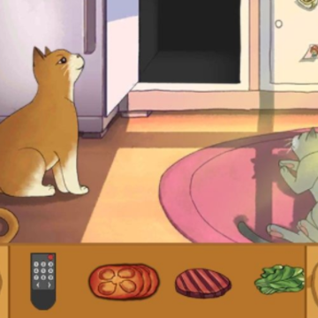 流浪的橘猫侠 流浪的橘猫侠