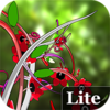 3D���ܶ�̬��ֽ-Jungle of Flowers 3D Litev1.3.9 ��׿��