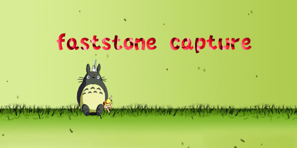 faststone capture