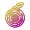 ����v2.6.2.5 ��׿��