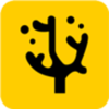 ɺ����ѡappv2.1.5 ���°�