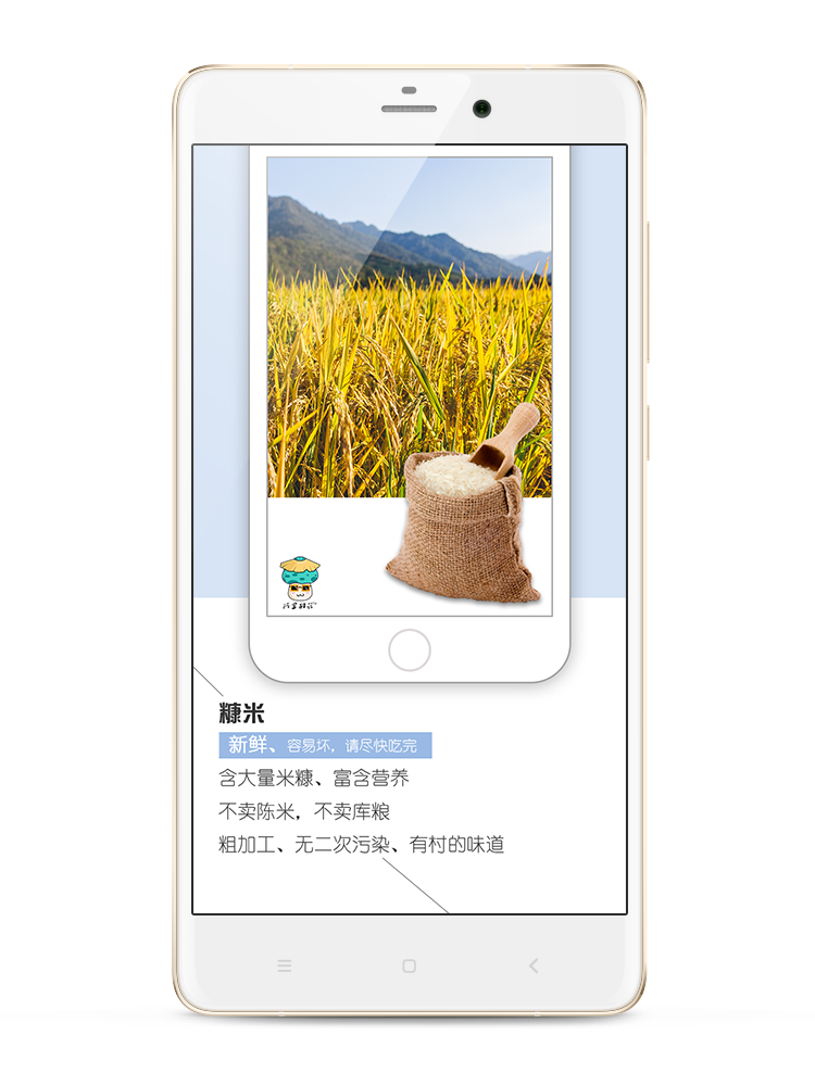 ����幽appv5.3.0 ���°�