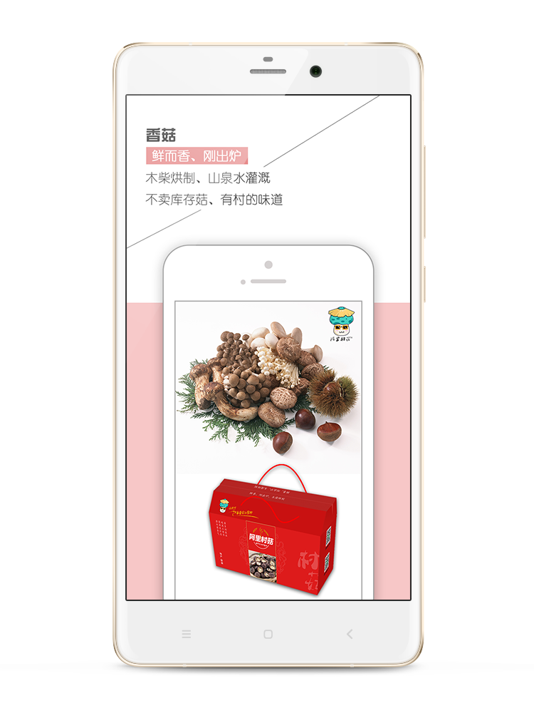 ����幽appv5.3.0 ���°�