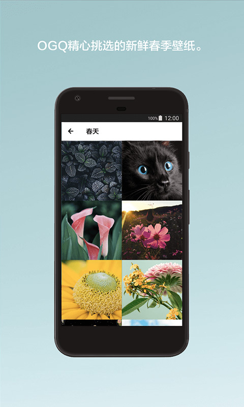 OGQ��ֽBackgrounds HDv4.9.284 ���°�