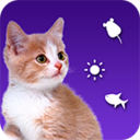 逗猫游戏养猫助手v4.0 安卓版