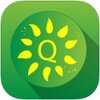 Quizii app�ٷ�����v3.1.1 ��׿��
