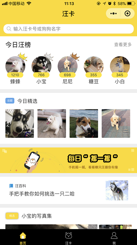 ����DogeCardС����