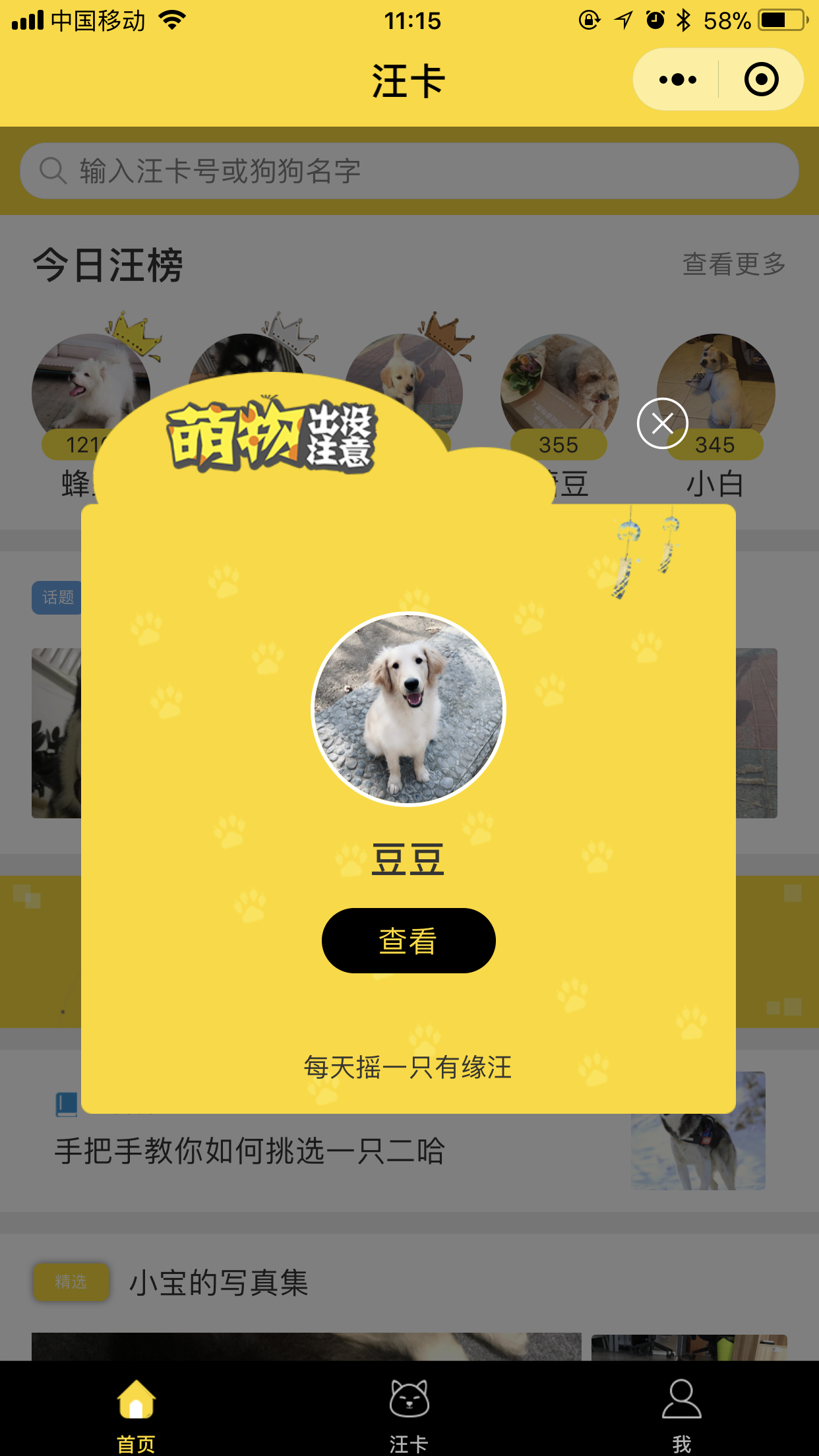 ����DogeCardС����