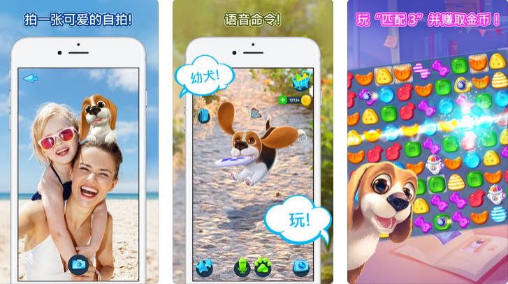 tamadog�ƽ������v1.0.8 ���°�
