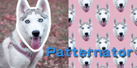 Patternator�ƽ��