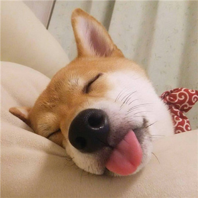 ���곬��Ц�Ĺ���ͷ��  ����ס�������������ı�����