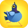 Pigeon Pop����ios��v1.0.2 iphone��