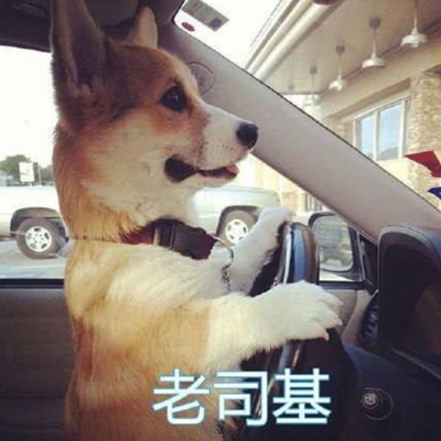 �����տ»���������� ����һ�����ܵ�С�»�
