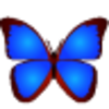 bkviewer��Ƭ�����v5.1 �ٷ���