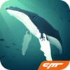 Tap Tap Fish(�ˮ���2018�ƽ��)v1.6.1 �ƽ��