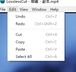 LosslessCut��ʹ�÷���