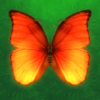 ���������Ϸv1.0 ���°�