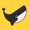Vanido iOS��v0.5.4 iPhone��