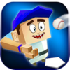 Baseball Buddy(������)v1.2 ��׿��