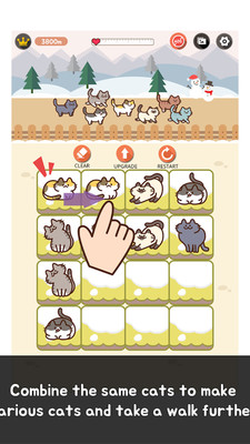 2048 WalkingCat(��è2048��Ϸ)v2.0.4 ��׿��