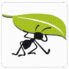 Ҷ���ٶ�������appv1.0.10 ��׿��