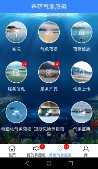 ��������ֳ����v1.0.1 �ٷ���