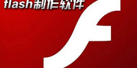 flash��������