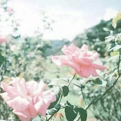 ����ͼƬ�羰Ψ��С����ר�� �����������µ�ͼƬ��ȫ