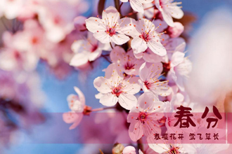 ���ڴ��ֵ�Ψ�����Ӵ�ȫ2018 ��д���ֵ��������Ӵ�ȫ