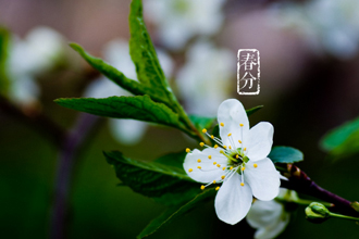 ���ֵ�ʫ��ʫ�ʴ�ȫ2018 ���ڴ��ֵľ���ʫ�ʴ�ȫ