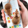 �������Ļ�Ͽ��µ�Ц��ƻ����v1.0 iPhone/iPad ���°�