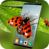 ư�������v4.1.2 ��׿��