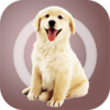 �˹���ͨ������appv1.0.0 ��׿��