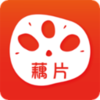 źƬ����appv1.2.8 ��׿��