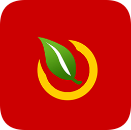 ��Ҷ��v2.4.1 ��׿��
