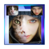 Face illiuison��ò�ں��������İ�v1.0 ���°�
