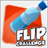 Water Bottle Flip Challenge(ˮƿ��ת��Ϸ)v1.4 ���°�