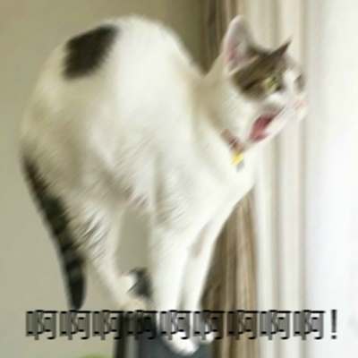 ������������ȳ�ϵ�� �����������ͼƬ��ȫ