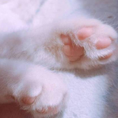 �ۺ�ɫ��������Ȧ����ͼ �ɰ������������Ҿ��ǵ���