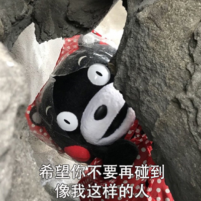 �����������������˱���� ϣ���㲻Ҫ������������������